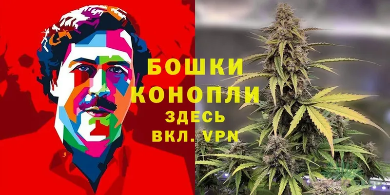 Бошки Шишки OG Kush  omg онион  Белокуриха 